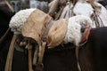 Gaucho horse saddle Royalty Free Stock Photo