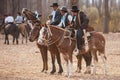 Gauchos riding a horse in exhibition Royalty Free Stock Photo