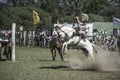 Gauchos rodeo