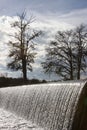 Gaudalupe River Weir