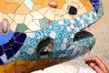 Gaudi's lizard - Barcelona