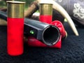 12 Gauge Shotgun and Shells Royalty Free Stock Photo