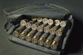 12 gauge shotgun shells used for hunting. Military concept, sport shooting, hunting