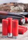 12 gauge shotgun shells Royalty Free Stock Photo