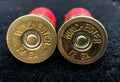 12 Gauge Winchester Shotgun Shells Royalty Free Stock Photo