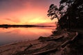 Gauja river after sunset observing Royalty Free Stock Photo