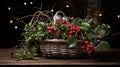 gaultheria procumbent and coniferous in basket as winter garden decoration Royalty Free Stock Photo
