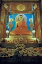 Gautam Buddha Statue inside Mahabodhi Temple Royalty Free Stock Photo