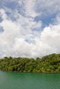 Gautun lake and jungle Royalty Free Stock Photo