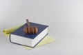 Gavel atop Legal Pad and Book