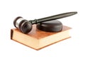 Gavel on brown book