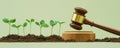 Gavel and green seedlings on soil against light green background, environmental justice concept Royalty Free Stock Photo