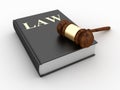 Gavel over Law Book Royalty Free Stock Photo