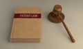 Gavel and patent law book