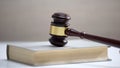 Gavel standing on book, law and order, legal education, court hearing, sentence Royalty Free Stock Photo