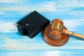 gavel and wallet on the table bribery of the authorities or restrictions
