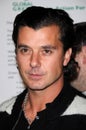 Gavin Rossdale