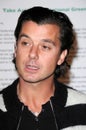 Gavin Rossdale Royalty Free Stock Photo