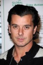 Gavin Rossdale Royalty Free Stock Photo