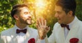 Lgbt gay bride and groom in wedding ceremony Royalty Free Stock Photo