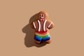 Gay christmas lgbt cookies creative pastry food Royalty Free Stock Photo
