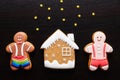 Gay christmas lgbt party festive food decor cookie Royalty Free Stock Photo