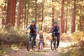 Gay Male Couple With Daughter Cycling Through Fall Woodland Royalty Free Stock Photo