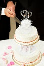 Gay Marriage - Cutting Wedding Cake Royalty Free Stock Photo