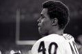 Gayle Sayers, Chicago Bears