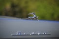 The silver deer on the hood of the Soviet car GAZ-21 Volga, close up