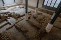 The inauguration of Mukheitim archaeological site, which houses the remnants of a Byzantine church, in Gaza Strip