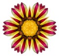 Gazania Flower Mandala