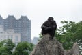 Gaze-Chimpanzee-Pan troglodytes Royalty Free Stock Photo