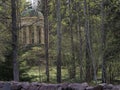 A gazebo behind the dark trees