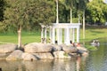 Gazebo, coreto image landscape from Quinta da Boa Vista public park