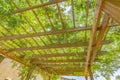 Gazebo covered in green in Utah Royalty Free Stock Photo