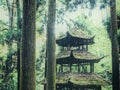 Gazebo in a forest, Mount Qingcheng, Dujiangyan, Sichuan Province, China