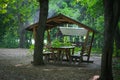 Gazebo in a green forest in the rays of the sun Royalty Free Stock Photo