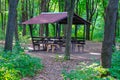 Gazebo in a green forest in the rays of the sun Royalty Free Stock Photo