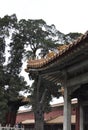 Gazebo from Imperial Garden in the Forbidden City from Beijing