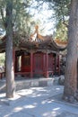 Gazebo in the Imperial Palace Yard in the Forbidden City, Beijing