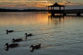 Gazebo in Lake with Mallard Ducks in Water