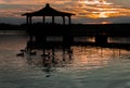 Gazebo in Lake with Mallard Ducks in Water