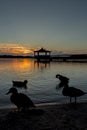 Gazebo in Lake with Mallard Ducks in Water Royalty Free Stock Photo