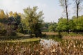 Gazebo in lake on sunny winter day Royalty Free Stock Photo