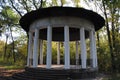 Gazebo in the middle of the forest Royalty Free Stock Photo