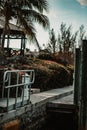 Gazebo, Palm Trees, and Flowers on the Dock