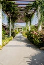 gazebo path walk with plants in the garden