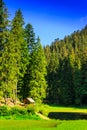 Gazebo and a small lake next to the forest in the mountains in c