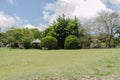 Gazebo Among Trees